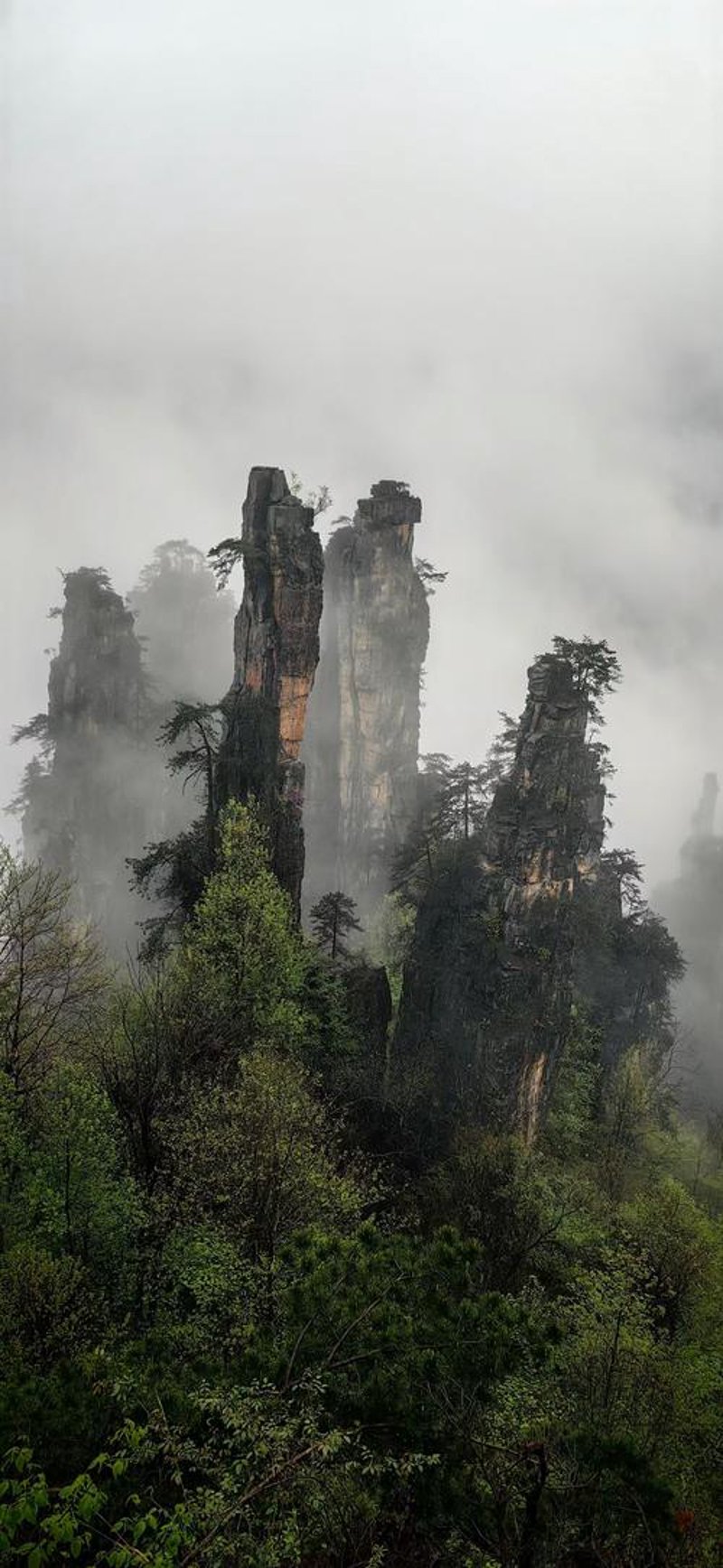 张家界自由行：如何规划一次完美的旅行